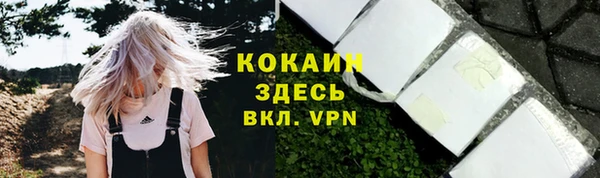 винт Няндома
