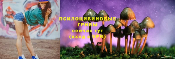 марки nbome Нязепетровск