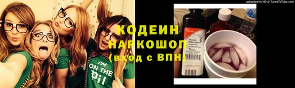 молекула духа Осинники