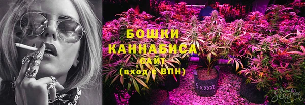 стафф Гатчина