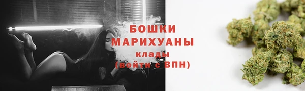 винт Няндома
