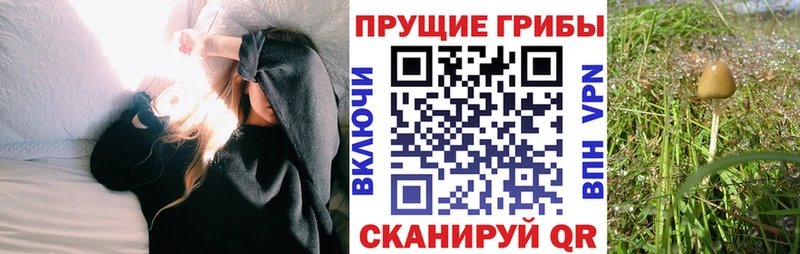 Галлюциногенные грибы прущие грибы  мега tor  Аргун 