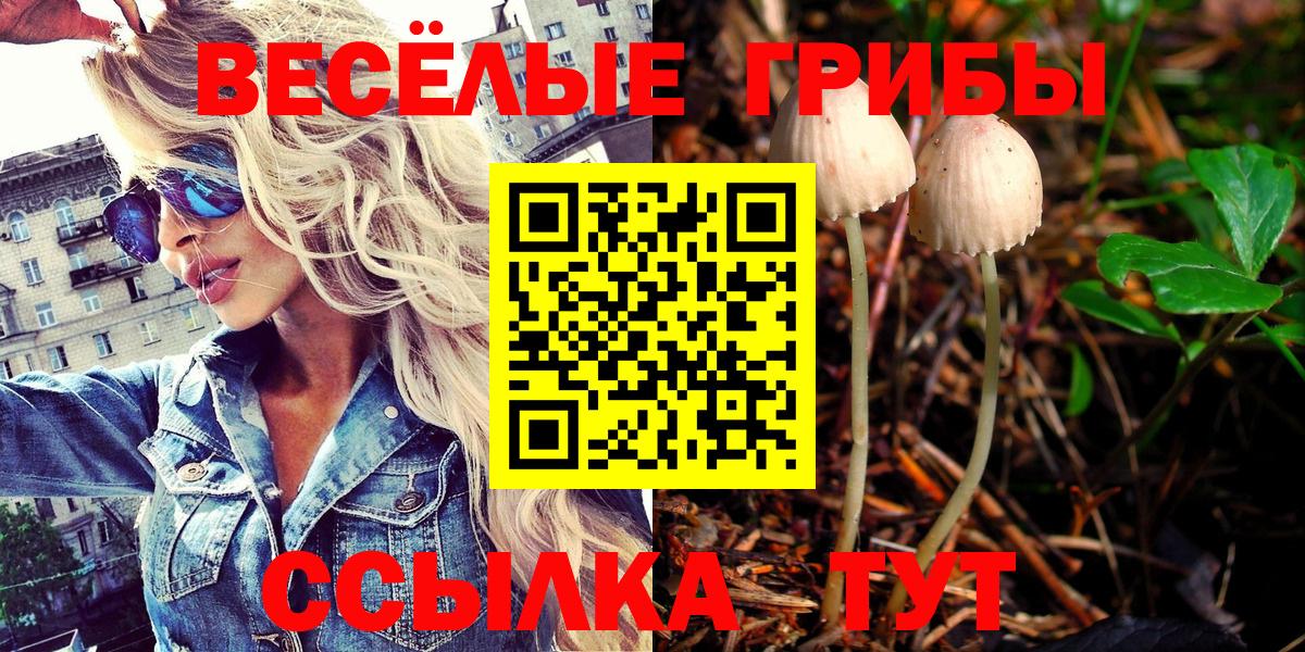 Галлюциногенные грибы ЛСД  Псилоцибиновые грибы Psilocybine cubensis  Вход с VPN  Аргун 