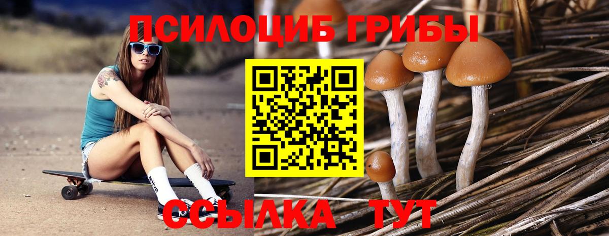 Галлюциногенные грибы Cubensis Аргун